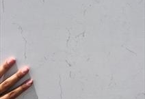 Carrara White Quartz