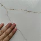 Finest Gold (Super Jumbo)