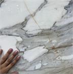 Calacatta Gold Marble